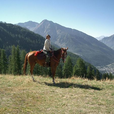 Le Vieux Rascard Chambres D'Hotes Champoluc Dış mekan fotoğraf