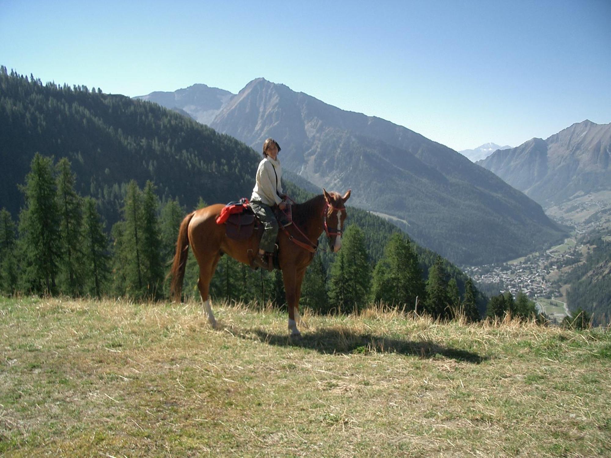 Le Vieux Rascard Chambres D'Hotes Champoluc Dış mekan fotoğraf