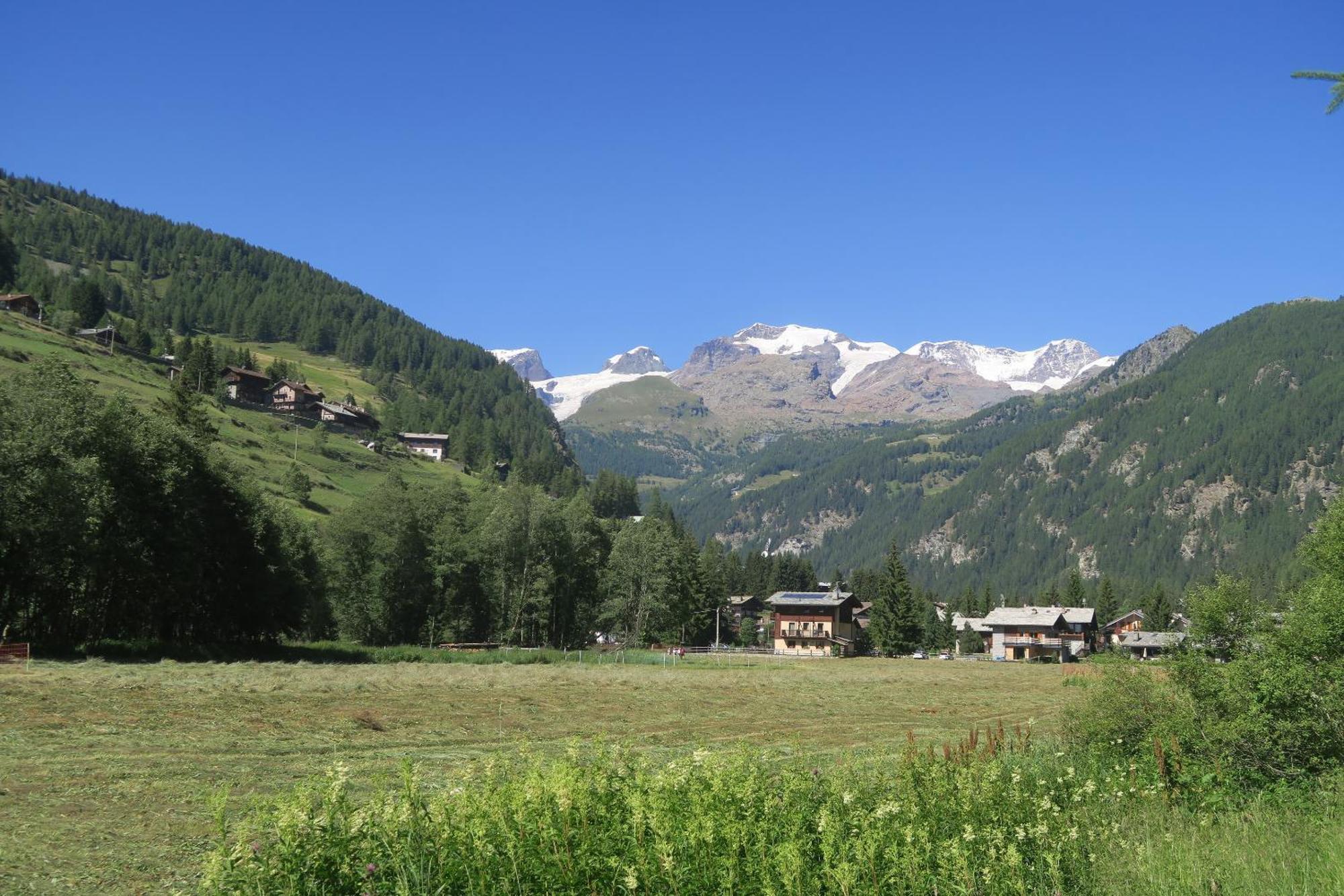 Le Vieux Rascard Chambres D'Hotes Champoluc Dış mekan fotoğraf