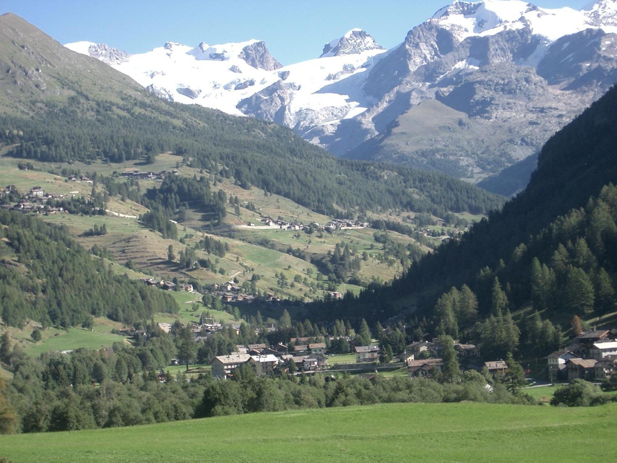 Le Vieux Rascard Chambres D'Hotes Champoluc Dış mekan fotoğraf